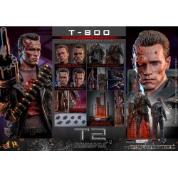 Hot Toys Terminator 2: T-800 Battle Damaged Version 2.0 1:6