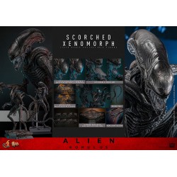 Hot Toys Alien Romulus: Scorched Xenomorph 1/6 Scale Figure 44