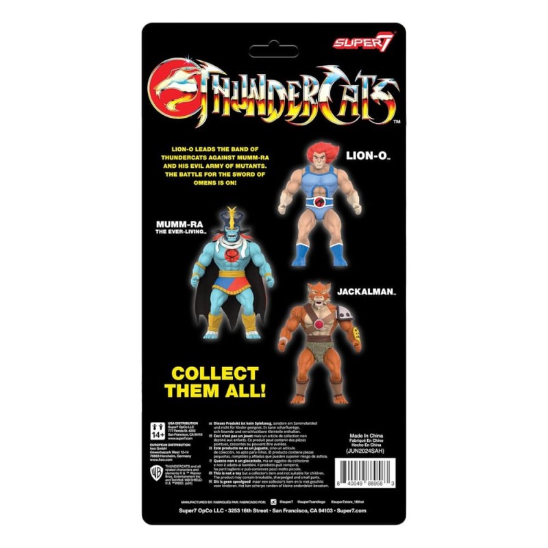Thundercats: Lion-O Vintage Collection Action Figure 14 cm