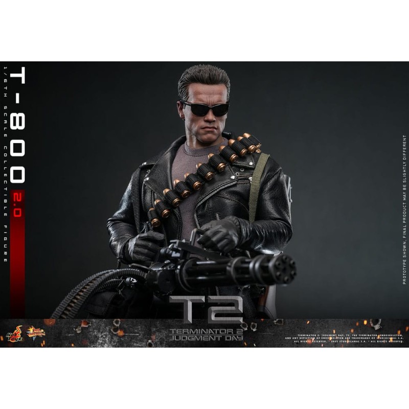 Hot Toys Terminator 2: T-800 1/6 Scale Figure 2.0 32 cm