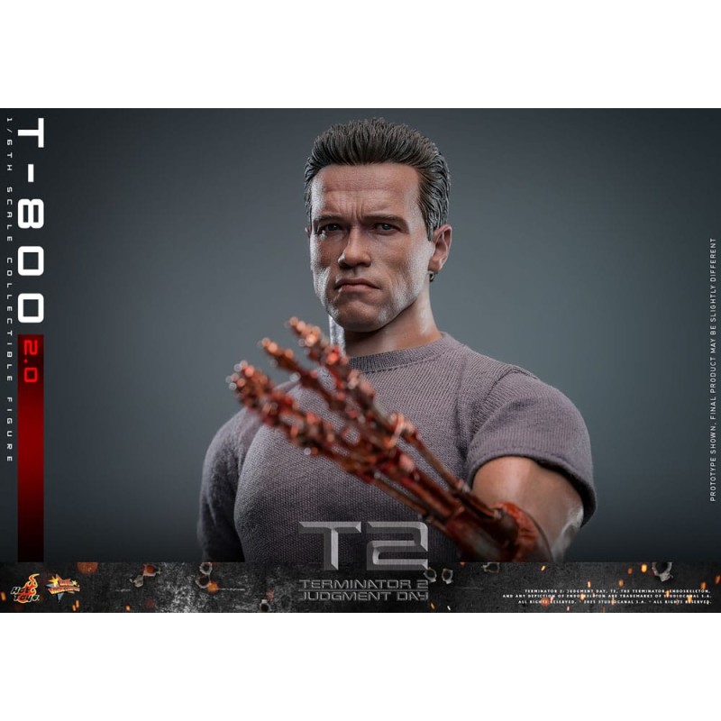 Hot Toys Terminator 2: T-800 1/6 Scale Figure 2.0 32 cm