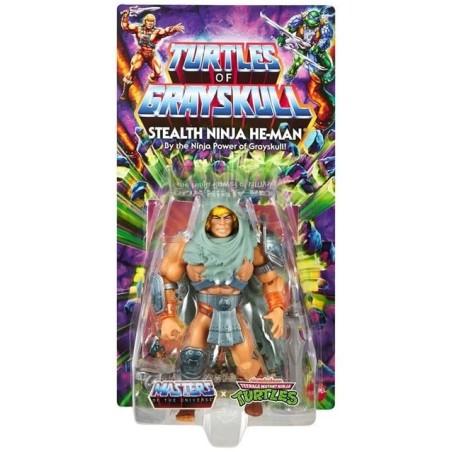 Masters of the Universe: Turtles of Grayskull Stealth Ninja