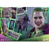Hot Toys DC Universe: 1/6th scale The Joker (Purple Coat Hot Toys DC Universe: 1/6th scale The Joker (Purple Coat
