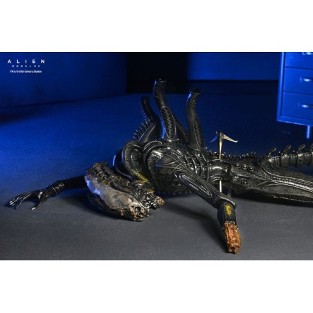 Alien Romulus: Suspended Lab Xenomorph XX121 Deluxe Action Alien Romulus: Suspended Lab Xenomorph XX121 Deluxe Action