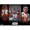 Hot Toys Star Wars: Poe Dameron 1/6 Scale Figure 30 cm Hot Toys Star Wars: Poe Dameron 1/6 Scale Figure 30 cm