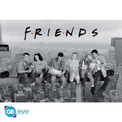 Poster: Friends Construction