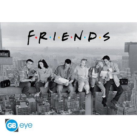 Poster: Friends Construction