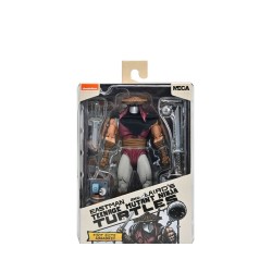 Teenage Mutant Ninja Turtles: Foot Assassin (Classic Colors)