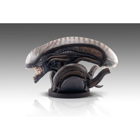 Alien Romulus: Xenomorph 1/1 Scale Bust 53 cm Alien Romulus: Xenomorph 1/1 Scale Bust 53 cm