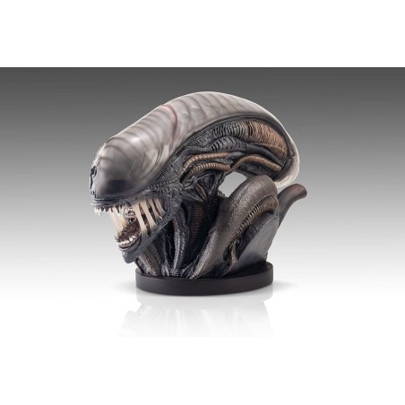 Alien Romulus: Xenomorph 1/1 Scale Bust 53 cm Alien Romulus: Xenomorph 1/1 Scale Bust 53 cm