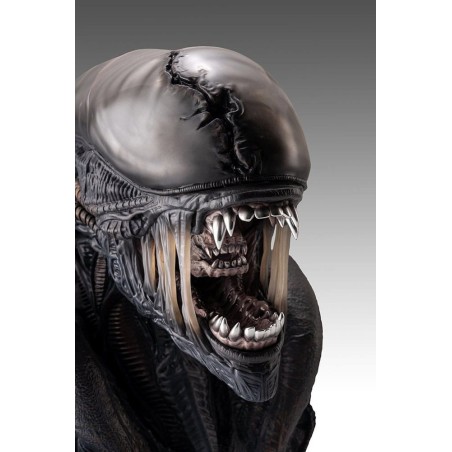 Alien Romulus: Xenomorph 1/1 Scale Bust 53 cm Alien Romulus: Xenomorph 1/1 Scale Bust 53 cm