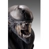 Alien Romulus: Xenomorph 1/1 Scale Bust 53 cm Alien Romulus: Xenomorph 1/1 Scale Bust 53 cm