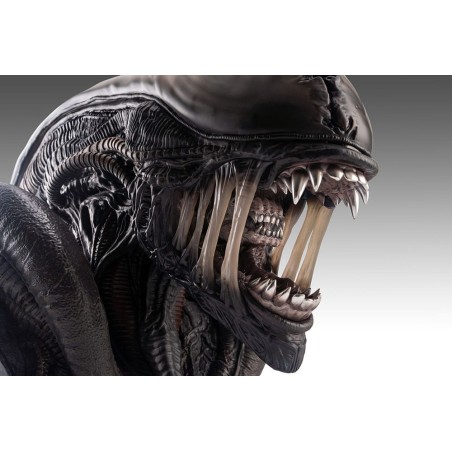 Alien Romulus: Xenomorph 1/1 Scale Bust 53 cm Alien Romulus: Xenomorph 1/1 Scale Bust 53 cm