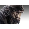 Alien Romulus: Xenomorph 1/1 Scale Bust 53 cm Alien Romulus: Xenomorph 1/1 Scale Bust 53 cm