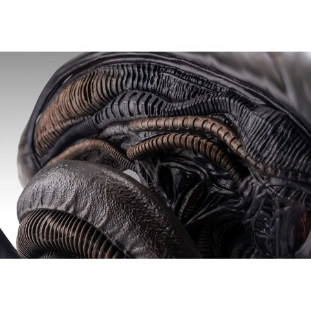 Alien Romulus: Xenomorph 1/1 Scale Bust 53 cm Alien Romulus: Xenomorph 1/1 Scale Bust 53 cm