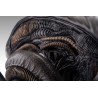 Alien Romulus: Xenomorph 1/1 Scale Bust 53 cm Alien Romulus: Xenomorph 1/1 Scale Bust 53 cm