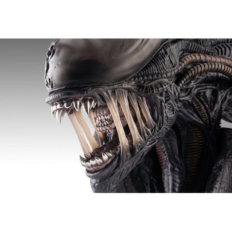 Alien Romulus: Xenomorph 1/1 Scale Bust 53 cm Alien Romulus: Xenomorph 1/1 Scale Bust 53 cm