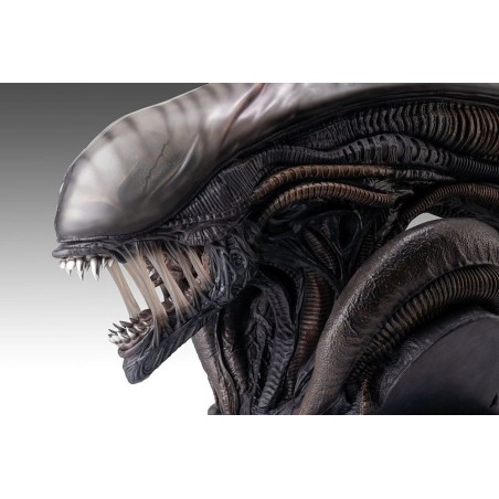 Alien Romulus: Xenomorph 1/1 Scale Bust 53 cm Alien Romulus: Xenomorph 1/1 Scale Bust 53 cm