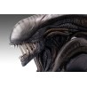 Alien Romulus: Xenomorph 1/1 Scale Bust 53 cm Alien Romulus: Xenomorph 1/1 Scale Bust 53 cm