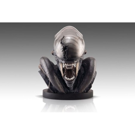 Alien Romulus: Xenomorph 1/1 Scale Bust 53 cm Alien Romulus: Xenomorph 1/1 Scale Bust 53 cm