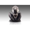 Alien Romulus: Xenomorph 1/1 Scale Bust 53 cm Alien Romulus: Xenomorph 1/1 Scale Bust 53 cm