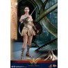Hot Toys: Wonder Woman (Training Armor Version) MMS 424 1/6 Hot Toys: Wonder Woman (Training Armor Version) MMS 424 1/6