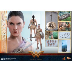 Hot Toys: Wonder Woman (Training Armor Version) MMS 424 1/6