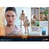 Hot Toys: Wonder Woman (Training Armor Version) MMS 424 1/6 Hot Toys: Wonder Woman (Training Armor Version) MMS 424 1/6