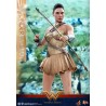 Hot Toys: Wonder Woman (Training Armor Version) MMS 424 1/6 Hot Toys: Wonder Woman (Training Armor Version) MMS 424 1/6