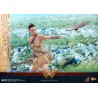 Hot Toys: Wonder Woman (Training Armor Version) MMS 424 1/6 Hot Toys: Wonder Woman (Training Armor Version) MMS 424 1/6