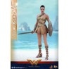 Hot Toys: Wonder Woman (Training Armor Version) MMS 424 1/6 Hot Toys: Wonder Woman (Training Armor Version) MMS 424 1/6