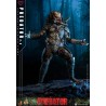 Hot Toys: Predator (2.0) Regular Version 1/6 Scale Figure 34 cm Hot Toys: Predator (2.0) Regular Version 1/6 Scale Figure 34 cm