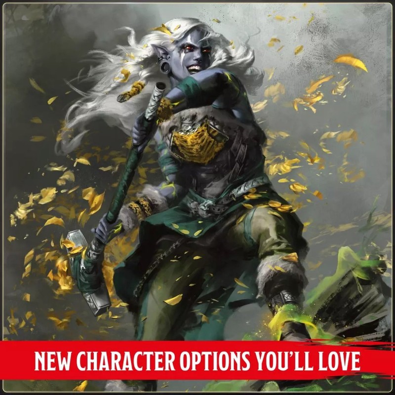 D&D Dungeons & Dragons 5.0 2024 Players Handbook