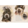 Labyrinth: Bestiary - A Definitive Guide to The Creatures of Labyrinth: Bestiary - A Definitive Guide to The Creatures of