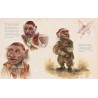 Labyrinth: Bestiary - A Definitive Guide to The Creatures of Labyrinth: Bestiary - A Definitive Guide to The Creatures of