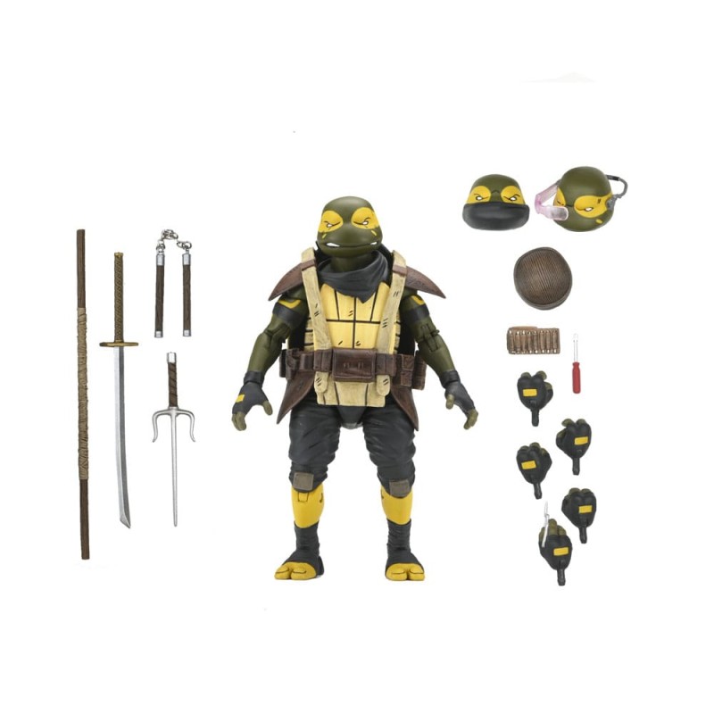 Teenage Mutant Ninja Turtles: Ultimate Yi (The Last Ronin