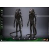 Hot Toys Alien: Big Chap 1/6 Scale Figure 36 cm Hot Toys Alien: Big Chap 1/6 Scale Figure 36 cm