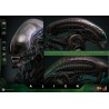 Hot Toys Alien: Big Chap 1/6 Scale Figure 36 cm Hot Toys Alien: Big Chap 1/6 Scale Figure 36 cm