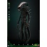Hot Toys Alien: Big Chap 1/6 Scale Figure 36 cm Hot Toys Alien: Big Chap 1/6 Scale Figure 36 cm