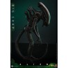 Hot Toys Alien: Big Chap 1/6 Scale Figure 36 cm Hot Toys Alien: Big Chap 1/6 Scale Figure 36 cm