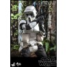 Hot Toys Star Wars: Hot Toys MMS 611 Scout Trooper 1/6 Scale Hot Toys Star Wars: Hot Toys MMS 611 Scout Trooper 1/6 Scale