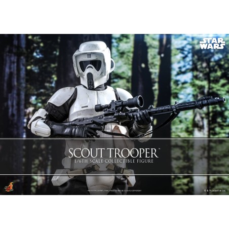 Hot Toys Star Wars: Hot Toys MMS 611 Scout Trooper 1/6 Scale