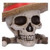 One Piece: Luffy Jolly Roger Storage Box