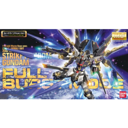 Gundam Model Kit: MG 1/100...