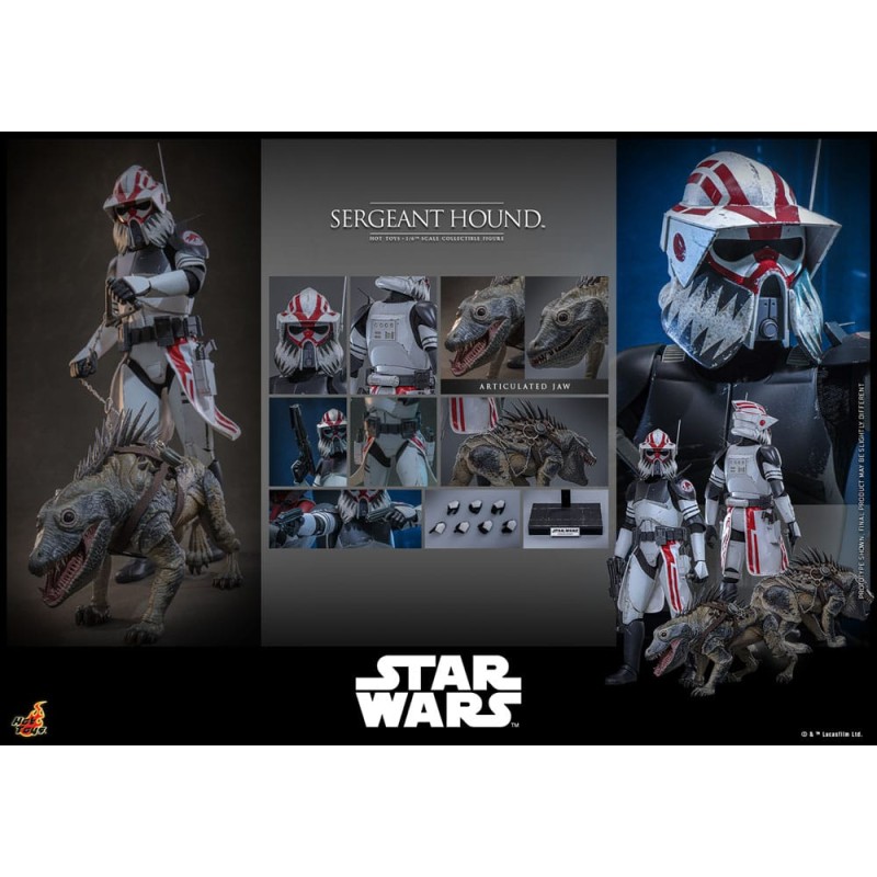 Hot Toys Star Wars: Sergeant Hound (The Clone Wars) 1/6 Scale