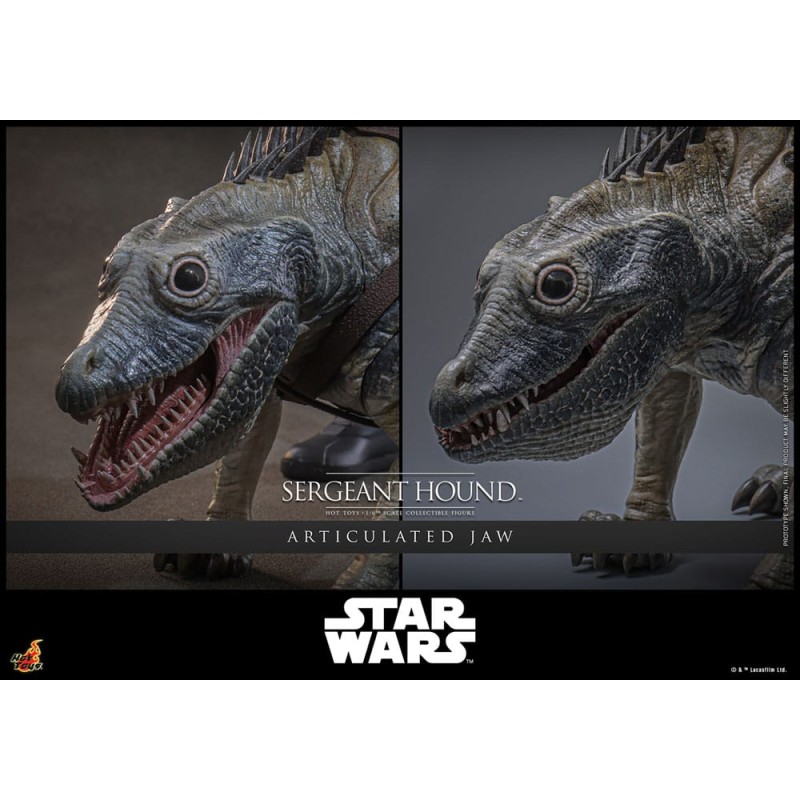 Hot Toys Star Wars: Sergeant Hound (The Clone Wars) 1/6 Scale
