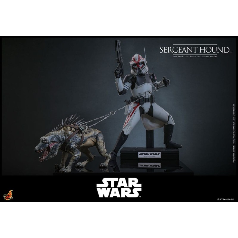 Hot Toys Star Wars: Sergeant Hound (The Clone Wars) 1/6 Scale