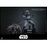 Hot Toys Star Wars: Sergeant Hound (The Clone Wars) 1/6 Scale Hot Toys Star Wars: Sergeant Hound (The Clone Wars) 1/6 Scale