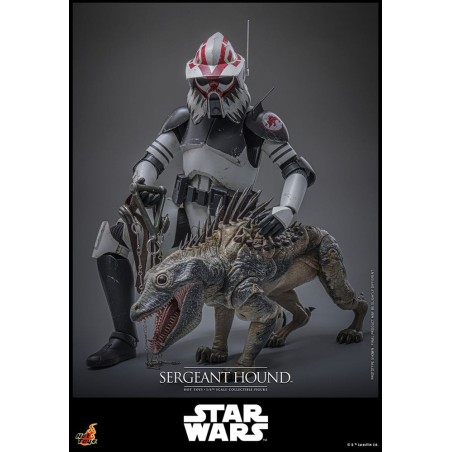 Hot Toys Star Wars: Sergeant Hound (The Clone Wars) 1/6 Scale