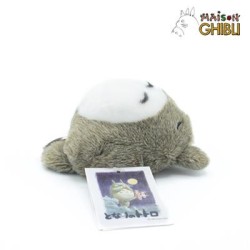 My Neighbor Totoro: Totoro...